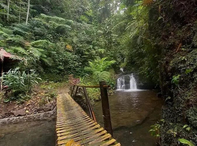 Tutub Waterfall View * Munduk