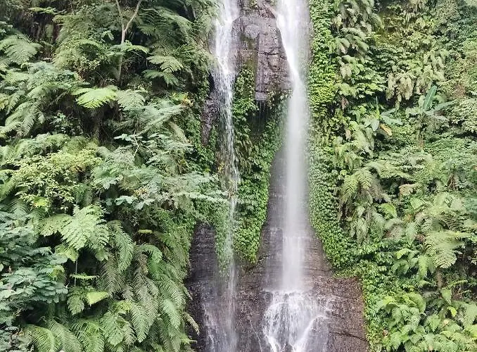 Tutub Waterfall View *